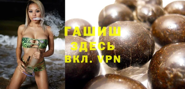 гашик Алексин