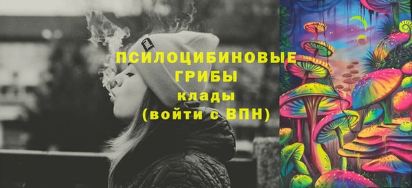 гашик Ростов