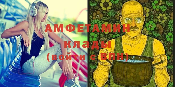 гашик Алексин
