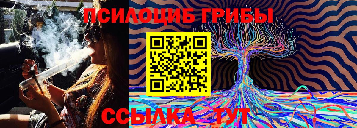 Беслан  Псилоцибиновые грибы Psilocybine cubensis  Вход с VPN 
