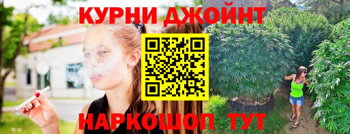 Каннабис индика  Бошки марихуана AK-47  Беслан  Вход с VPN 